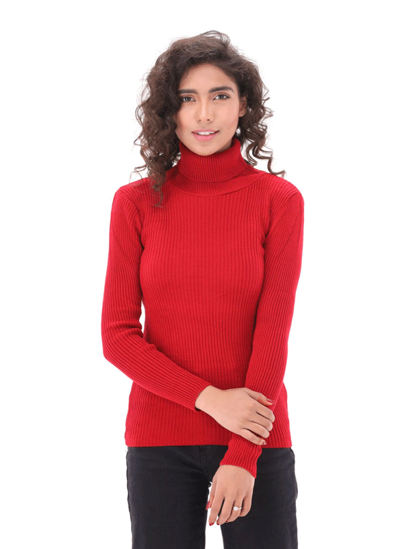 Pack of 2 Turtle Highnecks